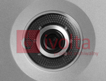 Doorphone "Villa", IP camera