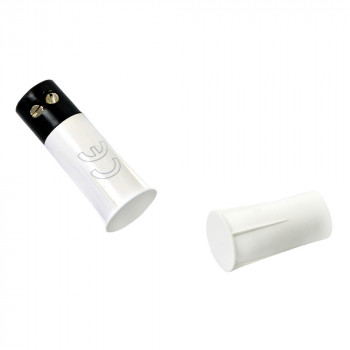 Magnetic recessed white reed switch
